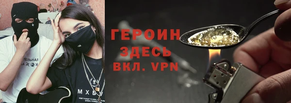 хмурый Алексин